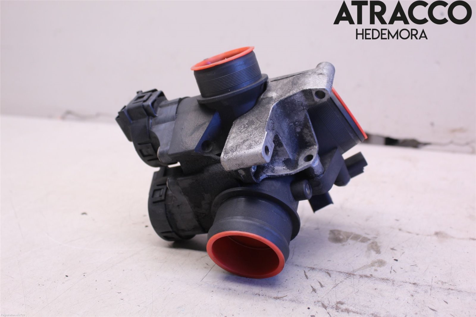 トップス catLove 5.7.11 GYMPHLEX］クルーネックプルオーバー／／ジムフレックス ｜オン