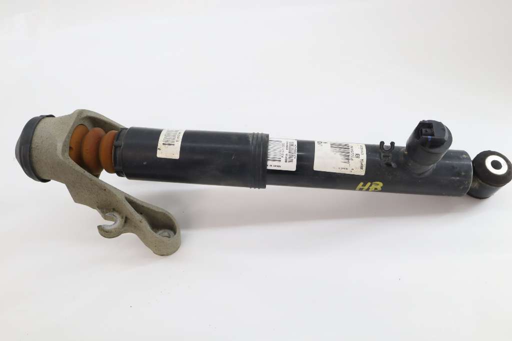 78734751.jpg?maxwidth=350&